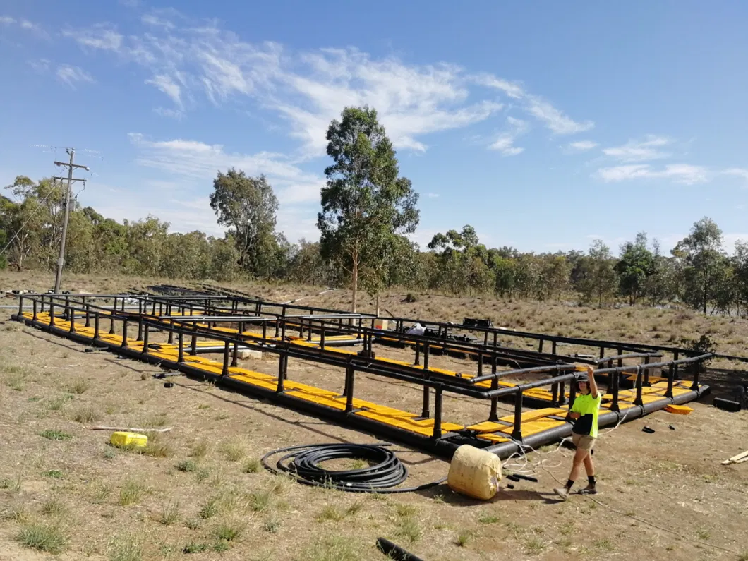 Tilapia Fish Farming Cage for Uganda Market