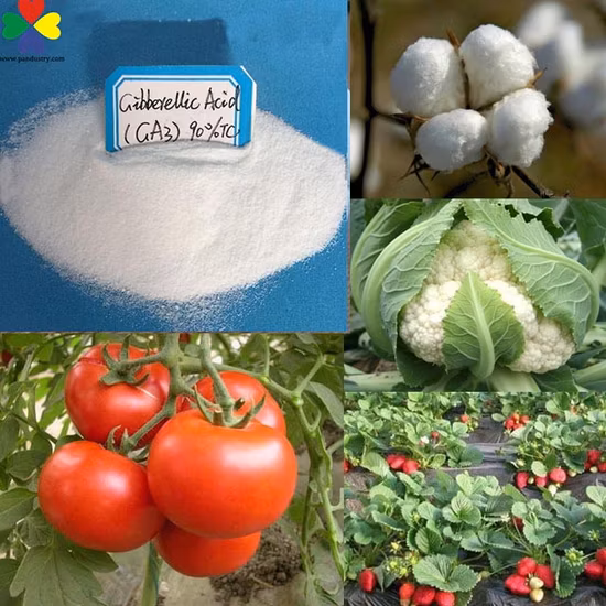 Prezzo della polvere dell'acido gibberellico Ga3 90% Tc del regolatore della crescita delle piante Gibberellina