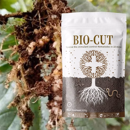 Bio Cut Fertilizzante Liquido Stimolante Organico Biologico per Nematodi